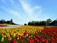 福岡カンツリー倶楽部 和白コース レストラン その他福岡市東区 丼もの-