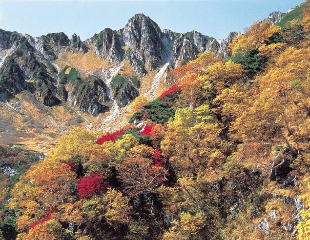 2024年 11月下旬〜12月が見頃の京都の紅葉スポット10選ZEKKEI Japan