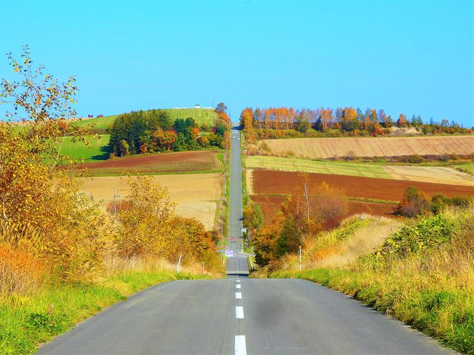 2025年最新 ライダー必見！北海道ツーリングで走りたい絶景ロード17選Domingo