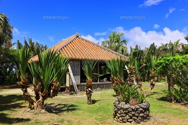 2025年最新版 石垣島フォト 写真撮影 ツアーを比較・予約石垣島ツアーズ