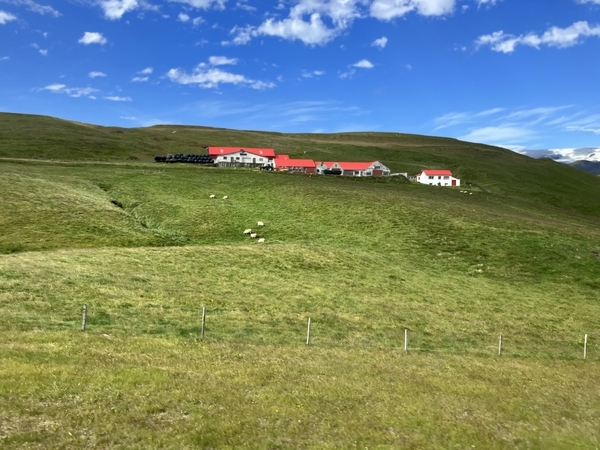 アイスランドの食べ物・料理 – Iceland