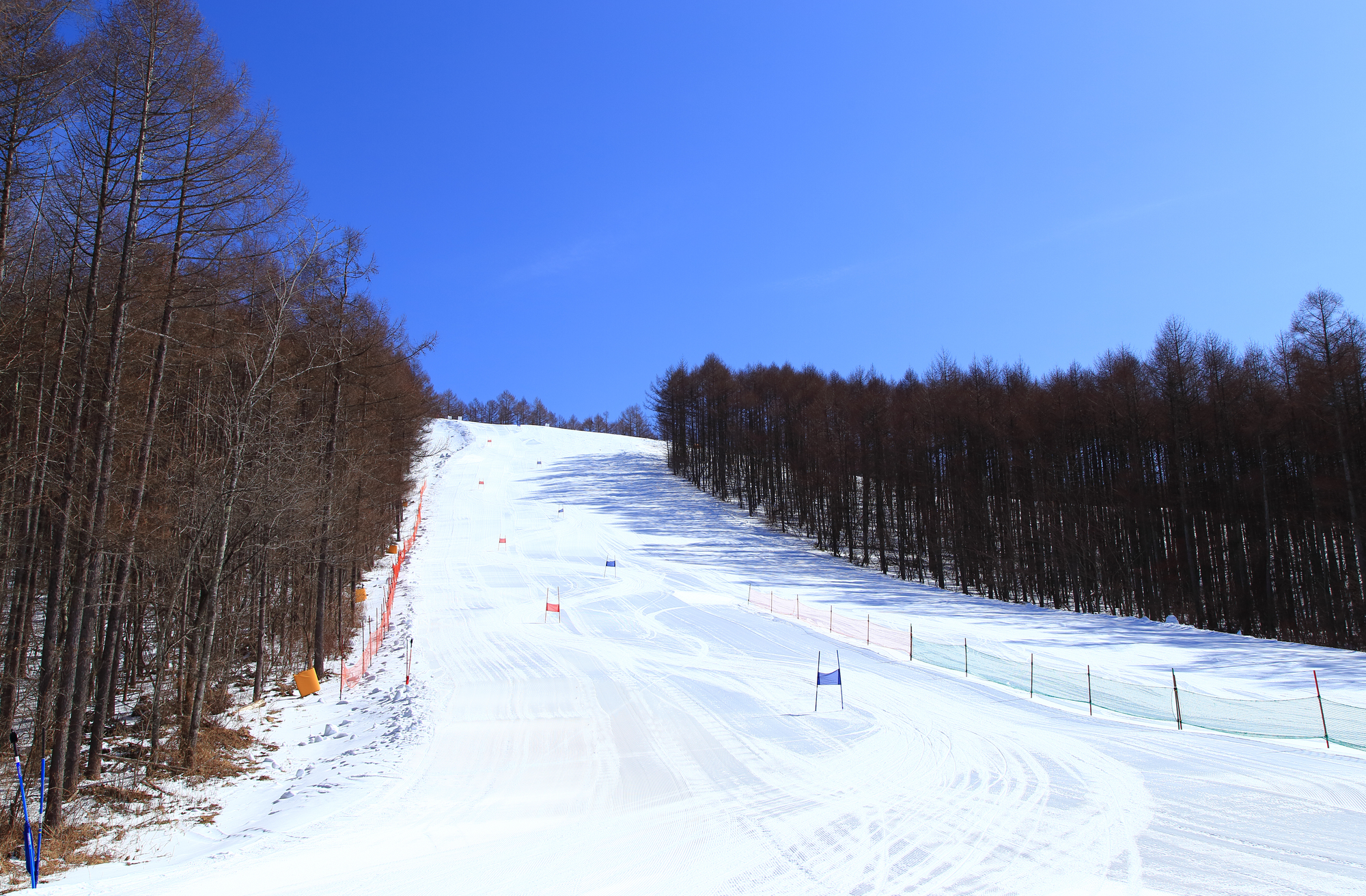 2025年版 軽井沢の子連れに優しいホテル7選赤ちゃん連れでも安心な宿をママ目線で比較