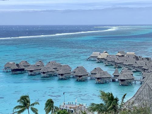 仏領ポリネシア、モーレア島行きクルーズノルウェージャンクルーズライン - NCL