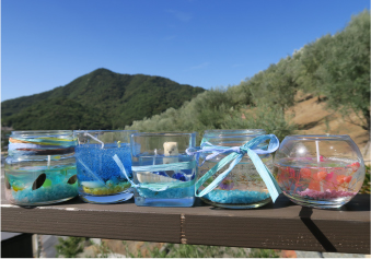 ◇募集開始◇『2025年秋・小豆島 岬工房オリーブ収穫体験会』のお知らせ・小豆島初のワイナリー『224ワイナリー』のワインの試飲・販売会も同時開催！– 小豆島岬工房