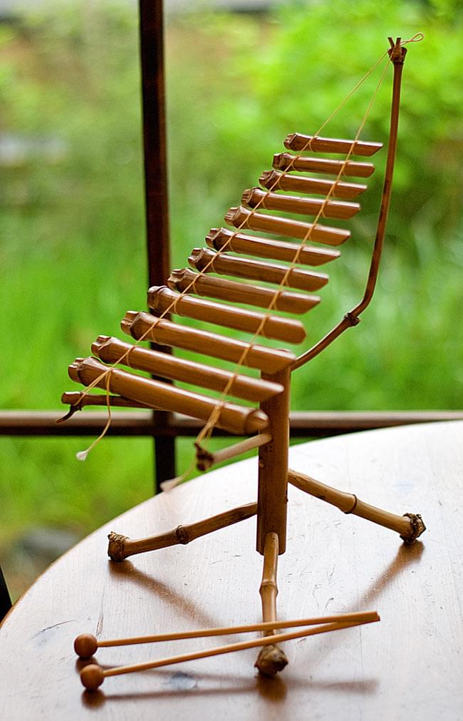 民族楽器トルンの演奏