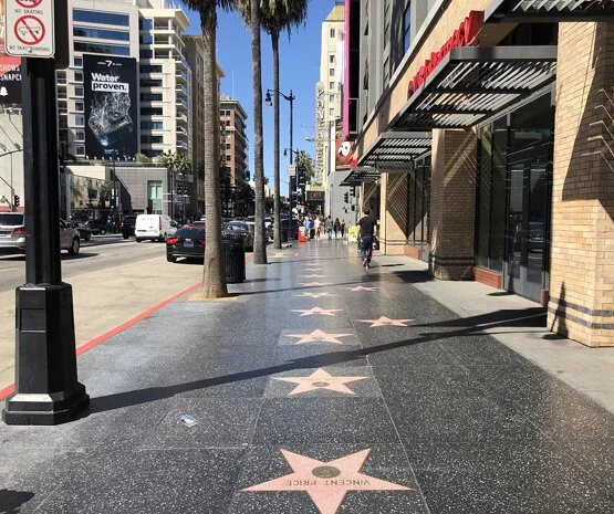 ハリウッド・ウォーク・オブ・フェーム ロサンゼルス中