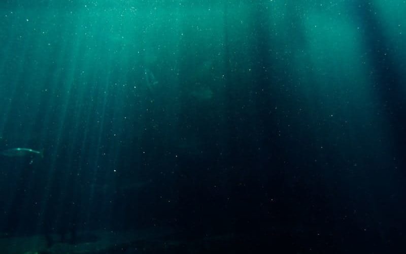 寝正月にはSCP財団 アドベントカレンダー2019 1日目- ICON公式ブログ