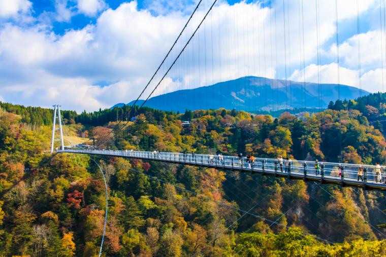 おおいた市観光ナビ OITA CITY TOURIST NAVI