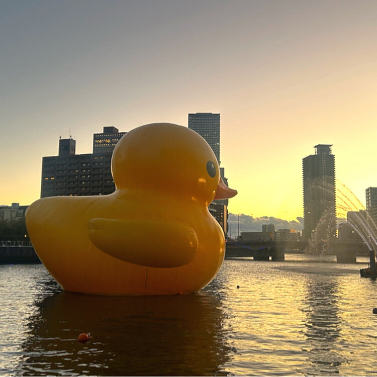ほたるまち クチコミ・アクセス・営業時間キタ 大阪駅・梅田フォートラベル