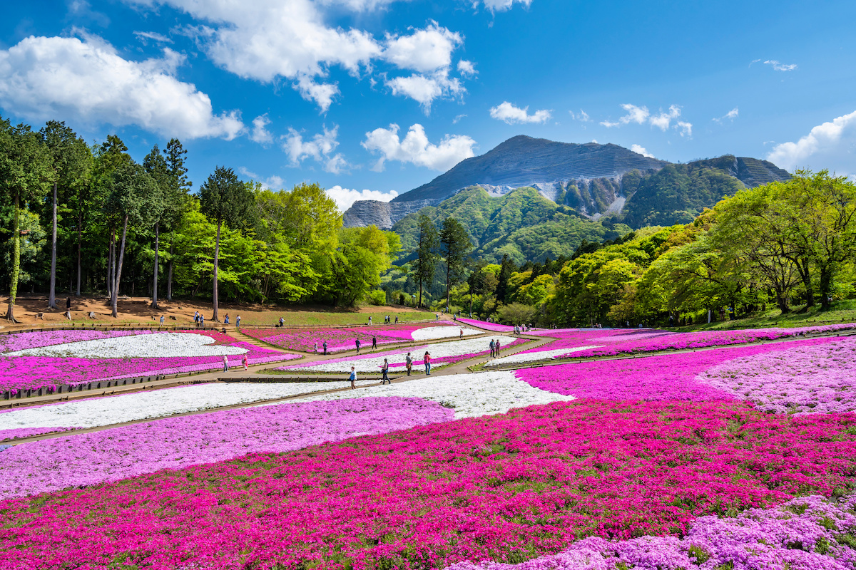 埼玉の綺麗な星空スポット♪夜景も見える場所や天体観測にもおすすめな場所埼玉日和 さいたまびより