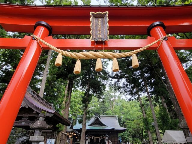 新倉富士浅間神社⛩🗻 日本の観光雑誌に必ずと言って良いほど乗っている富士山と忠霊塔が見える神社の入り口の鳥居です！ 鳥居越しに紅富士が見えます🥰雪が降ってくれたらまた見たい景色です！ 2023.1撮影