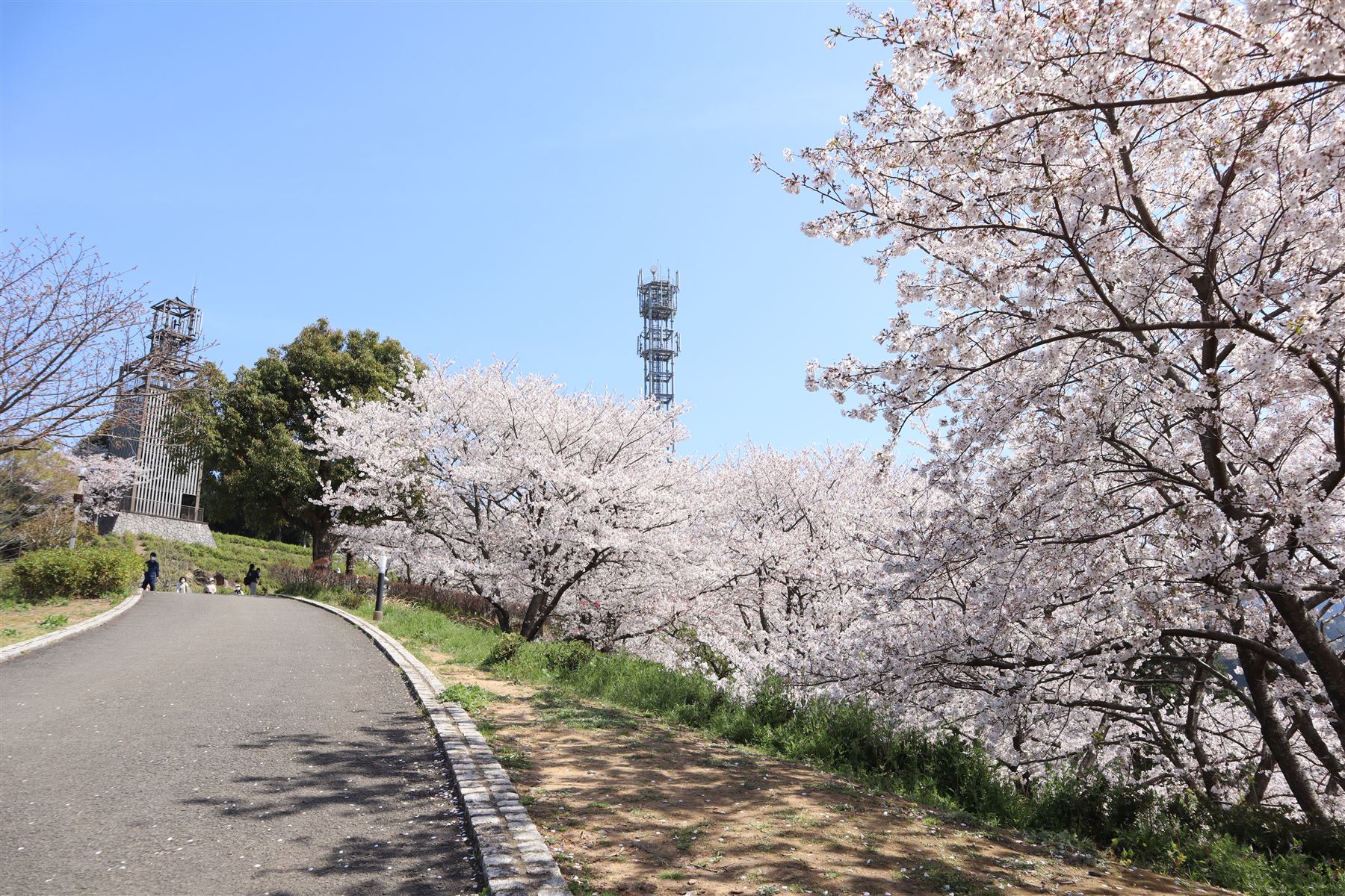 中尾城公園の展望台からは、町の夜景が楽しめます 日が沈んでいく景色は綺麗で じーっと眺めてしまいますいつかタイムラプスで撮影できたらいいなと思っております 展望台に上るときは、必ず寒さ対策をして登ってみてくださいね🙌ながよらいふ中尾城公園夜景長与