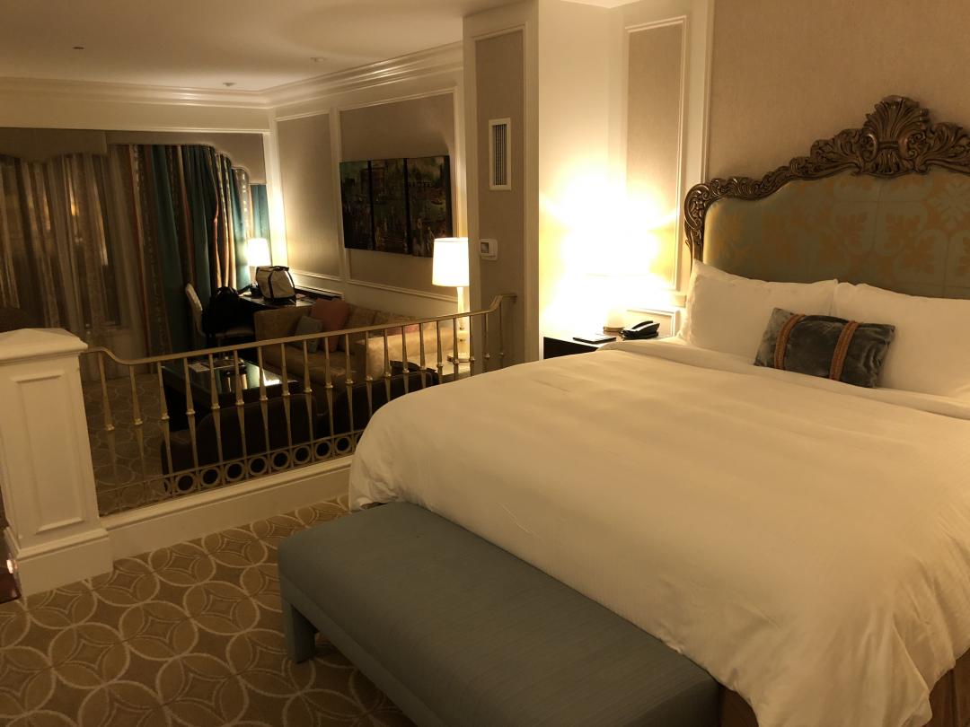 ベネチアン ホテルはアメリカのラスベガス サンズ社が所有するマカオの高級ホテルカジノ リゾートです -