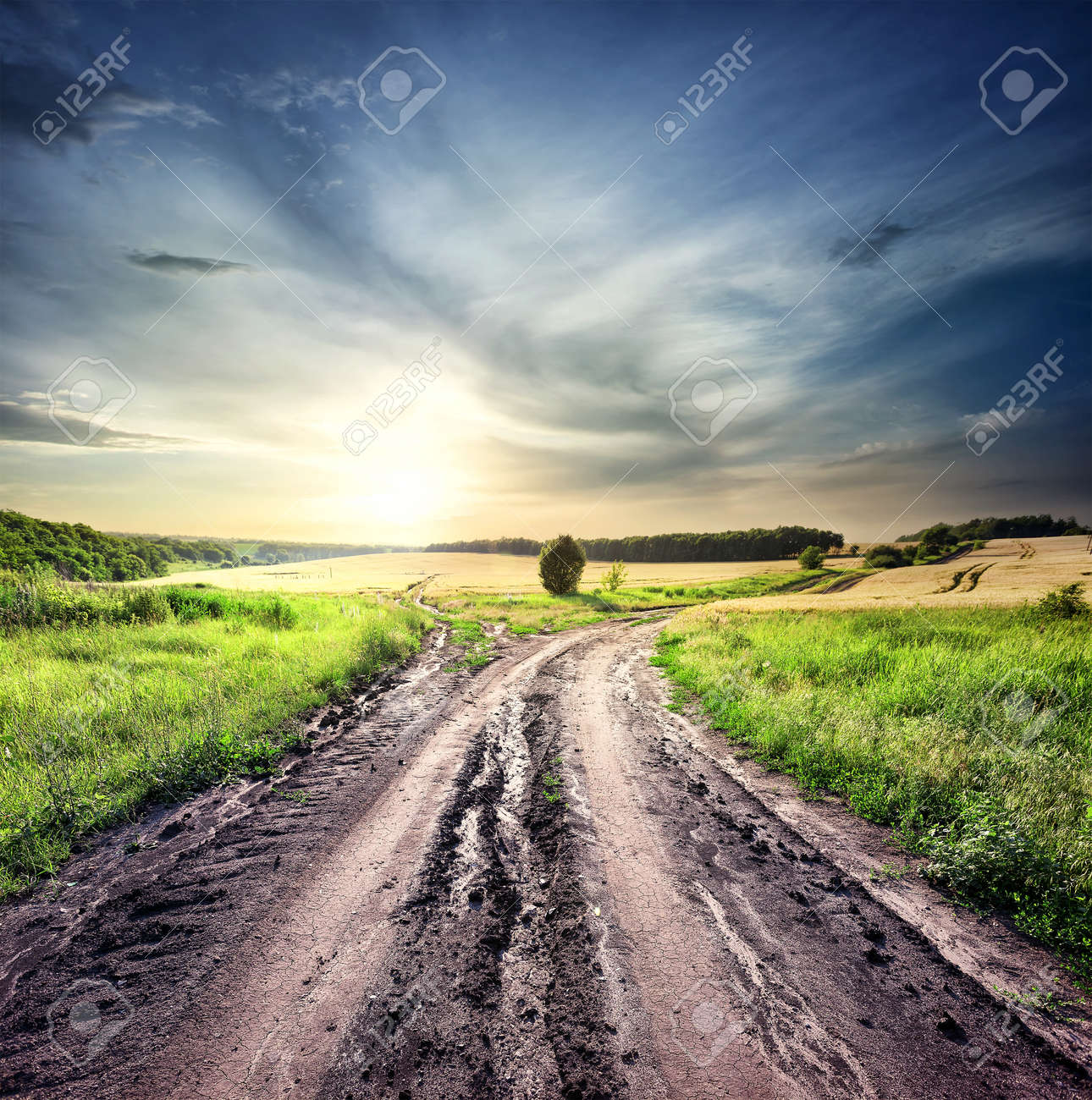 分かれ道写真素材、ロイヤリティフリー分かれ道画像DepositPhotos