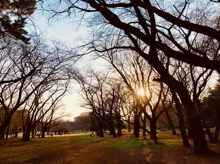 FOR YOU・福岡県筑紫野市光が丘・津古徒歩9分