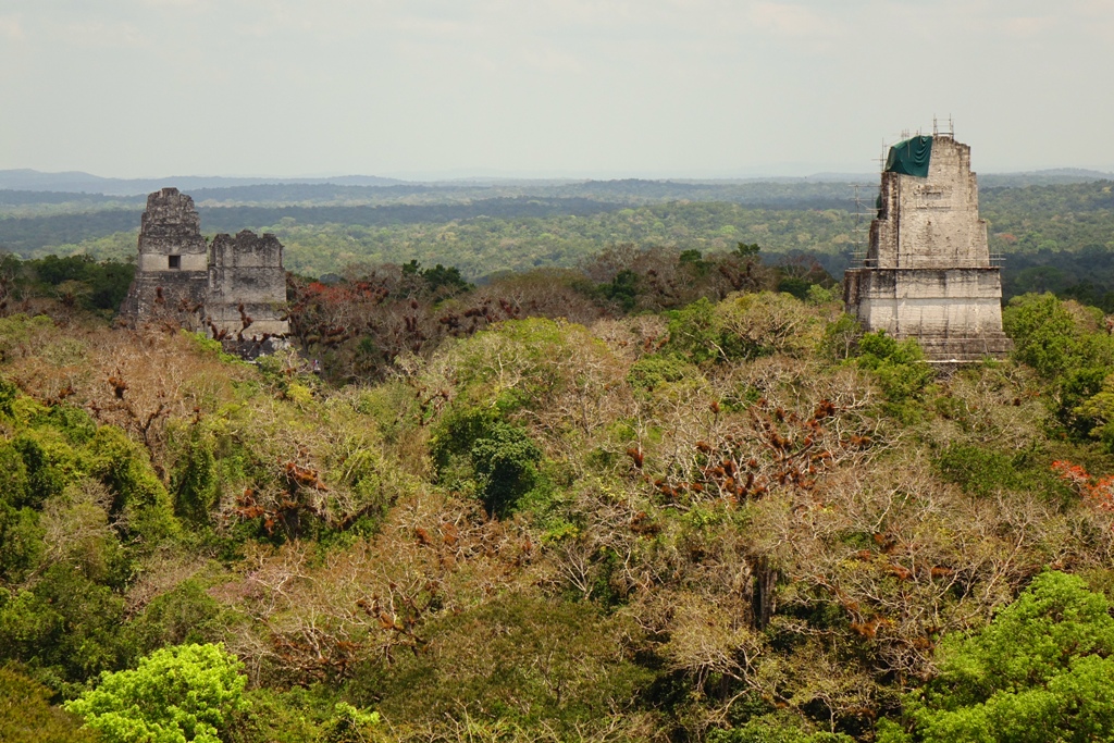 グアテマラ ティカル遺跡 - No: 28107211写真素材なら「写真AC」無料
