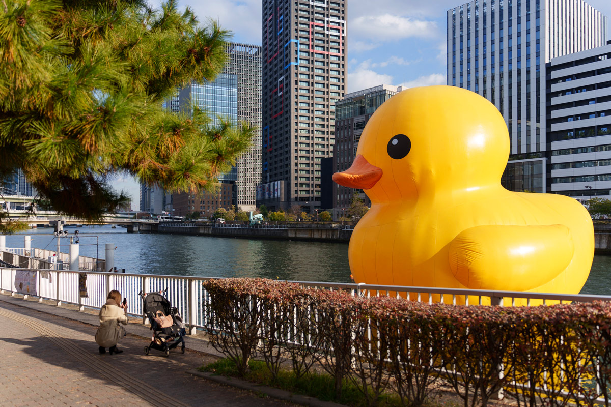 動画 ほたるまち港にラバー・ダック登場 「中之島ウエスト・ラバー・ダック2021」始まる –