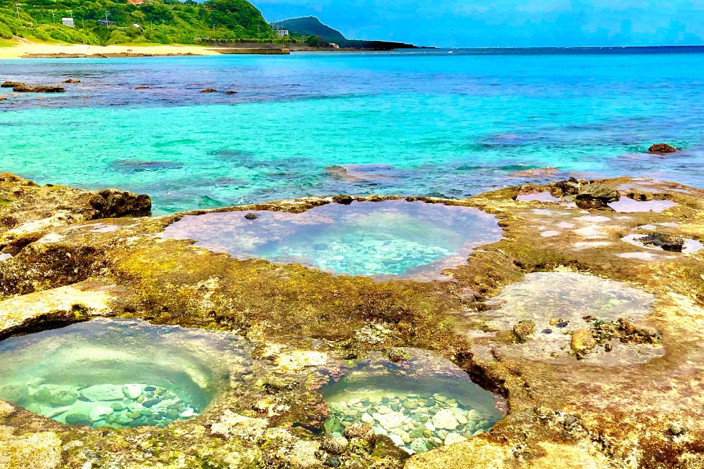 奄美群島の紹介奄美野生生物保護センタ