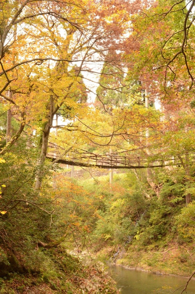 福井のかずら橋探索！独特な美を体験しよう