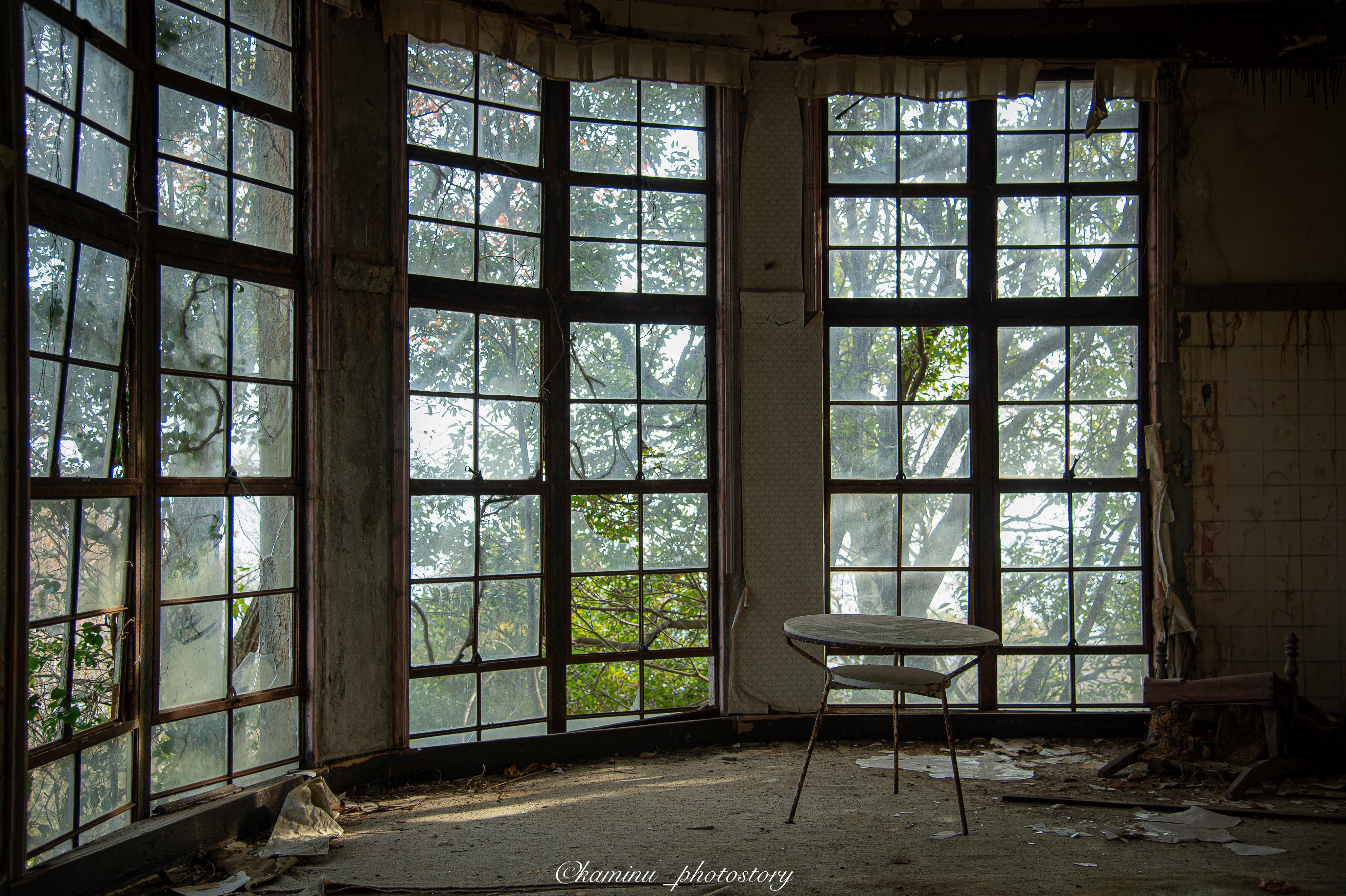 廃虚の女王」旧摩耶観光ホテル、国の有形文化財へ：朝日新聞