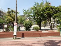 2025年 亀有公園 - 出発前に知っておくべきことすべて -