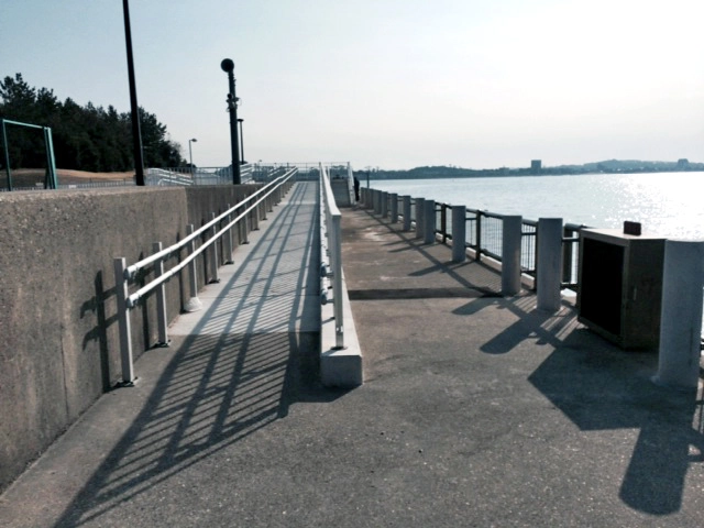 新舞子マリンパークの釣り場は子連れ家族にも最適！狙える魚種やポイントを360度写真付きで紹介360.com