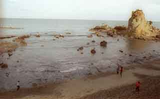 御幸の浜の「海へと続くトンネル」から見える光景とは？小田原地方創生メディア Mediall メディアール