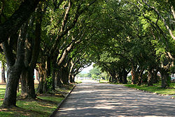 アメリカ合衆国全50州+1特別区の魅力と特徴を徹底解説