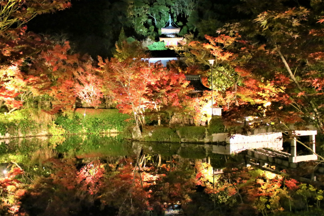 2023年 最新 ライトアップ情報も！