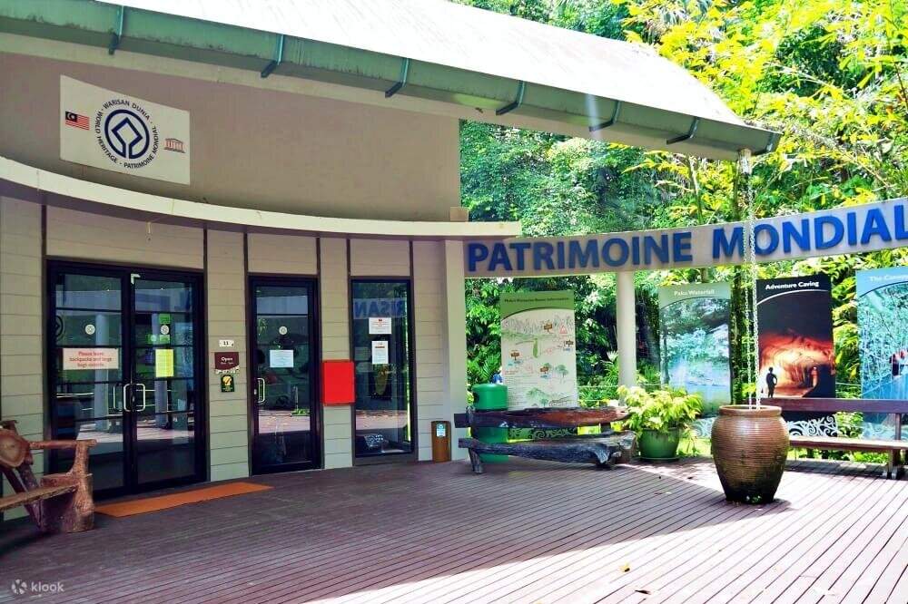 世界最大級の洞窟と無数のコウモリたち！世界遺産グヌン・ムル国立公園 – skyticket 観光ガイド