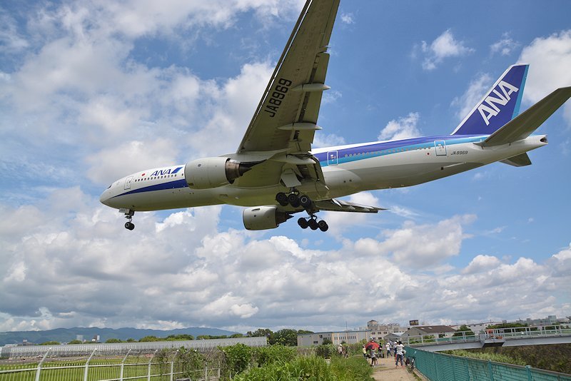 迫り来る恐怖に耐えられるか？！ー伊丹空港の穴場スポット・千里川土手ー 大阪府豊中市- ドットコムおおさか