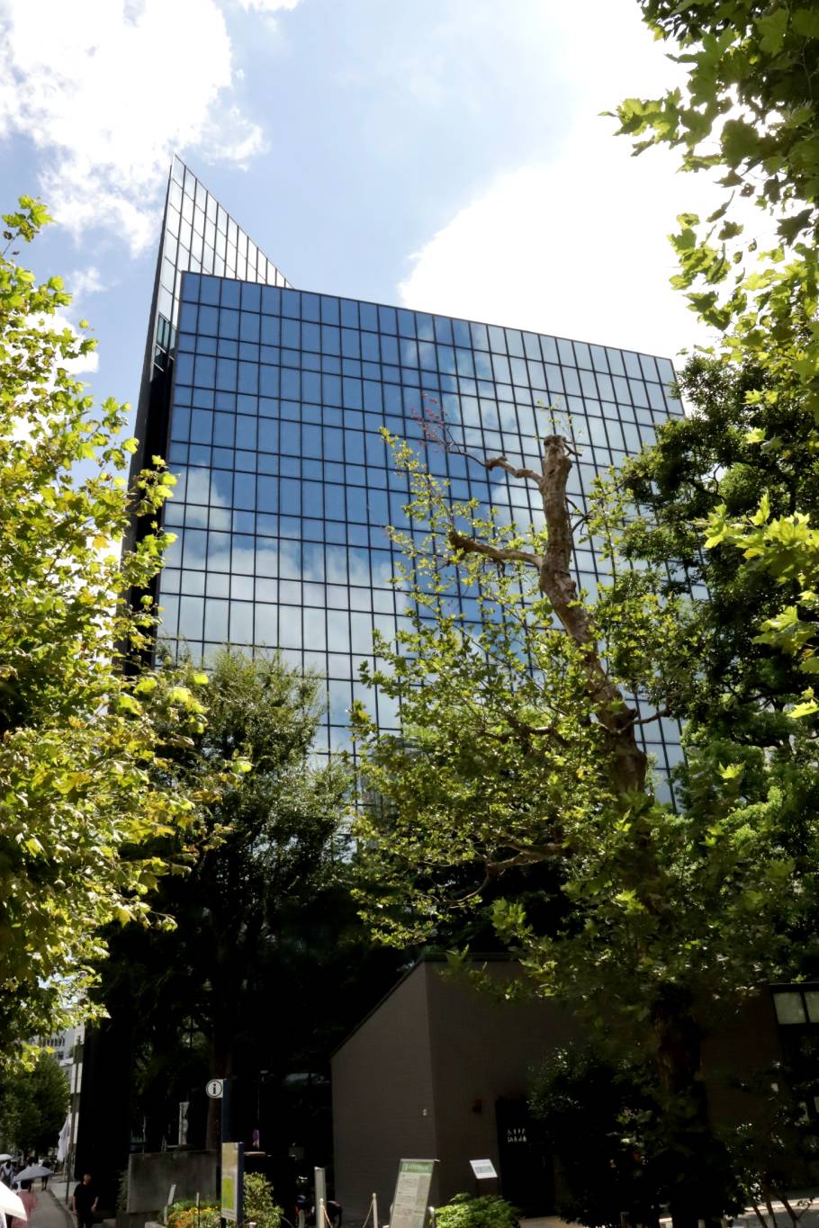 都会のオアシスカフェ - 東通り商店街10階の隠れ家