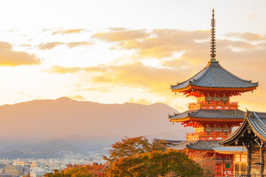 無料の アニメーション, 緑,