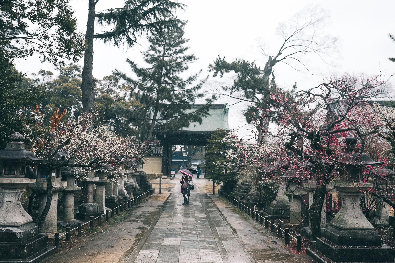 京都で雨の日に何ができる？おすすめの楽しみ方＆観光スポット10選 - LIVE JAPAN日本の旅行・観光・体験ガイド