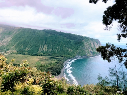 ハワイ島観光 ワイピオ渓谷トレッキング。秘境の滝を見にいこうSFBliss