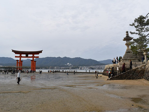 厳島神社を観光する時間帯でおすすめは？満潮と干潮をどちらも楽しむコツ俺のトラベル