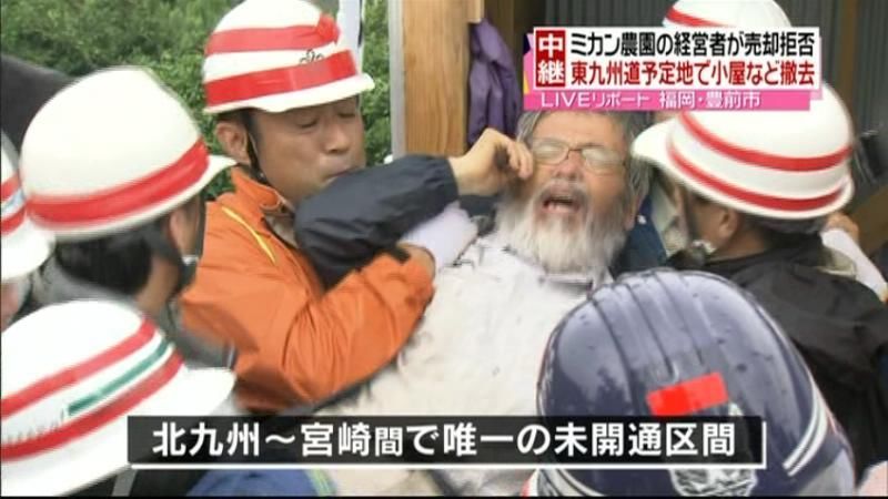 成島みかん畑でみかん狩りSLF 農業グループ