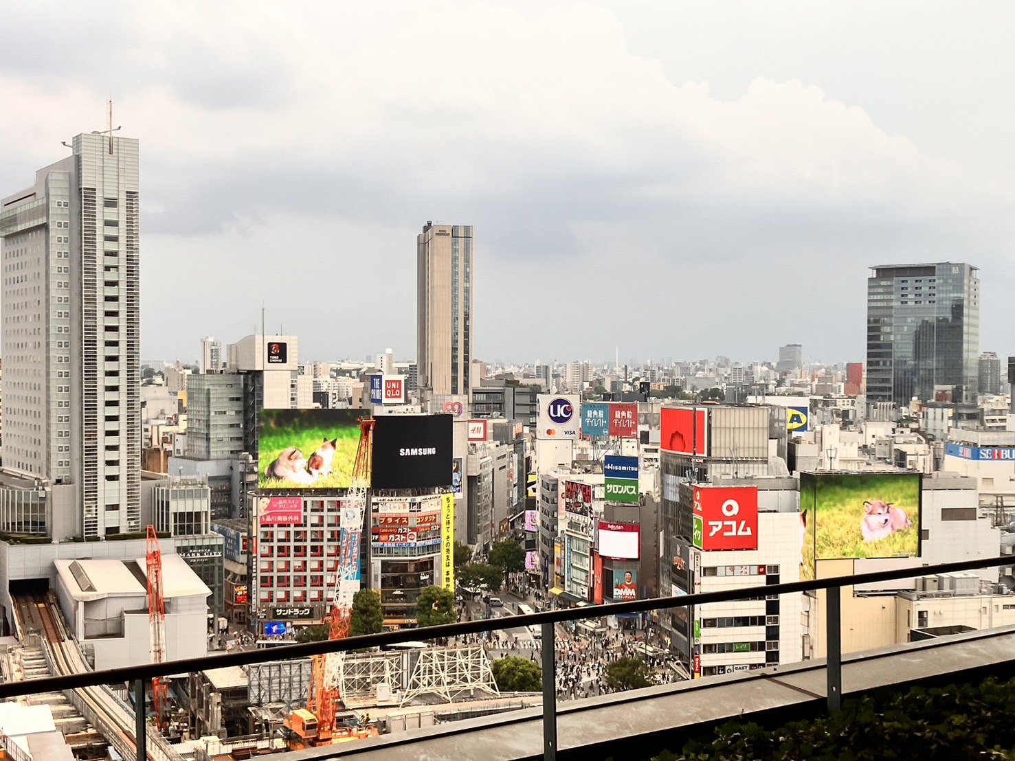 渋谷スクランブルスクエア、押さえるべきはこの5スポット。 渋谷ガイド2019Vogue Japan