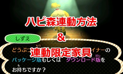 ニンテンドー3DSLL どうぶつの森ハッピーホームデザイナーモデル