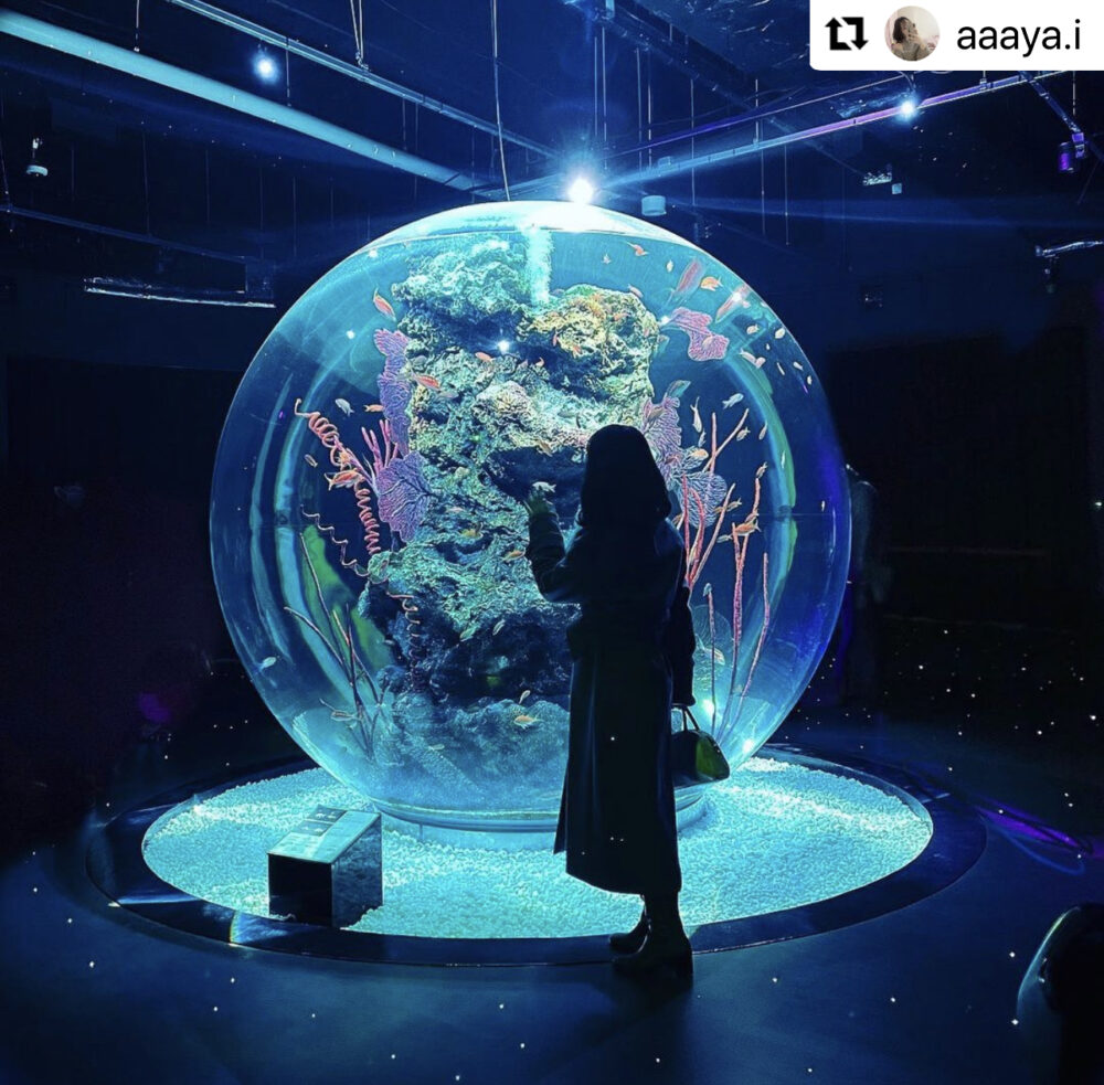 関東「夏のお出かけイベント」2025年夏休みや週末に行きたいスポットや夏フェス、グルメイベントも - ファッションプレス