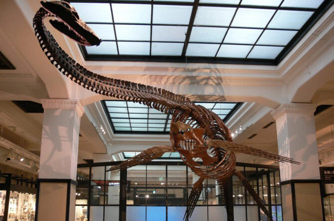 東京マニアック博物館 おもしろ珍ミュージアム案内 大都会TOKYOの片すみで- メルカリ