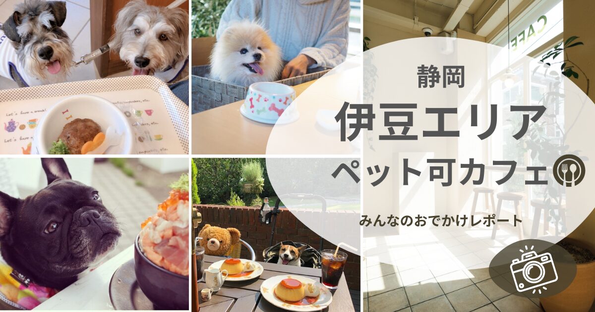 伊豆高原 犬連れ旅行に必ず行ってほしい！定番 愛犬の駅