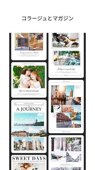 49,709 モルディブ Stock