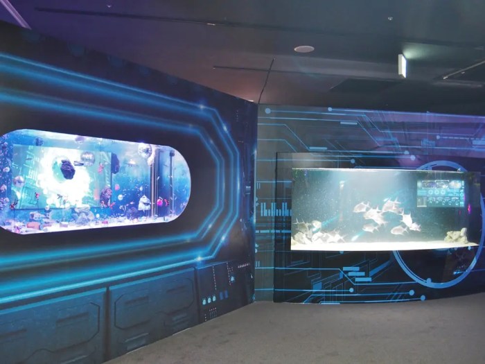 2022 横浜・みなとみらいの最新スポット「アクアリウム宇宙旅行」に潜入