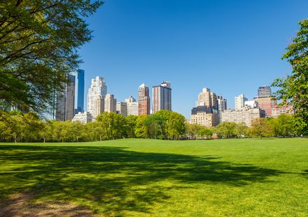 ニューヨーク・セントラルパーク観光におすすめ！人気の見どころご紹介BUYMA TRAVEL海外現地オプショナルツアー予約