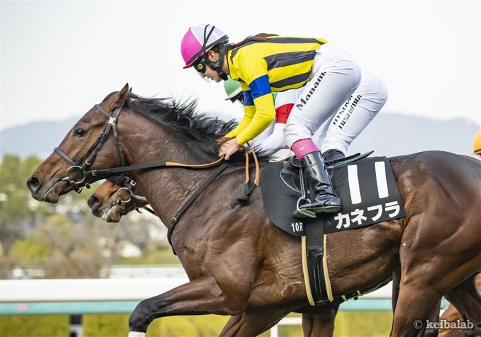 TVアニメ『SPY×FAMILY』K NoW_NAMEの作詞作曲による「GOOD DAY」 アーニャをインスパイアしたアニメMV公開SPICE