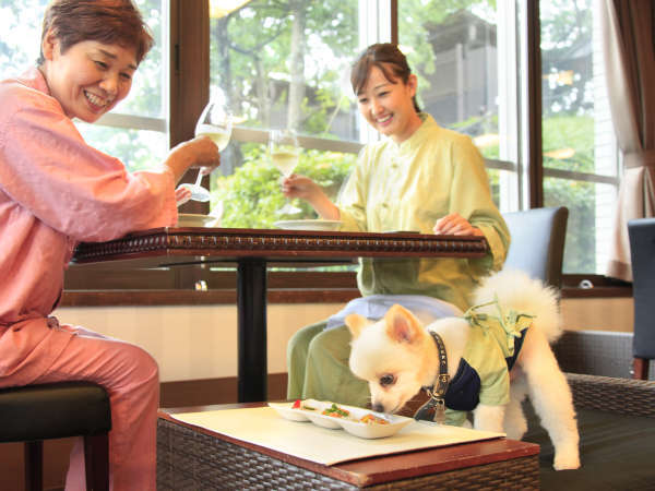 美味しいもの編 多頭犬連れ食い倒れな伊豆高原の旅③完結EL's garden☆犬天使の棲む庭