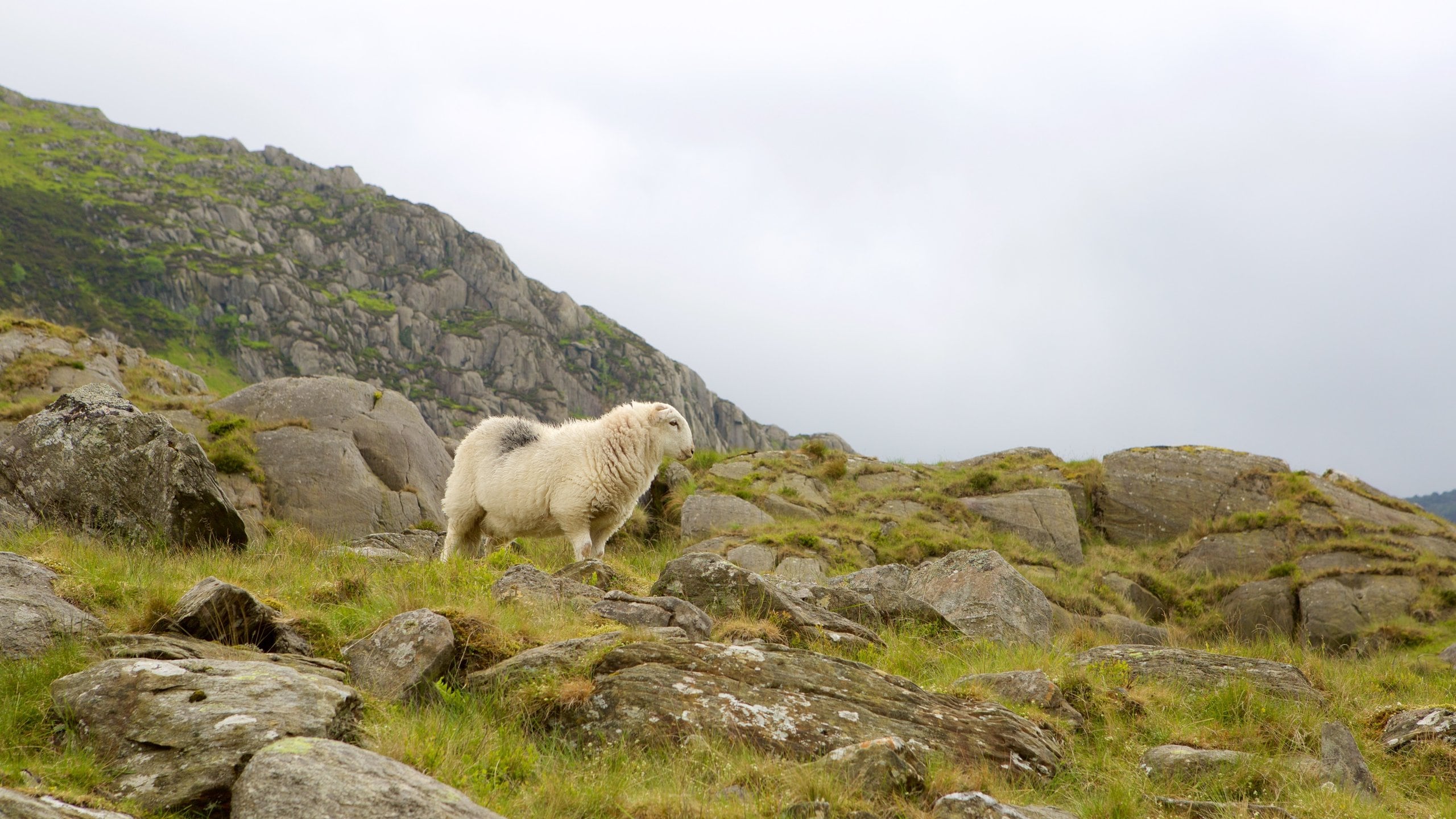スノードニア 国立公園でイチ押し！スリル満点の観光スポット10 選トリップアドバイザ