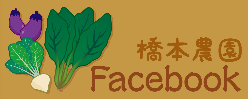 とんがり屋根のおうち 立体・オブジェ 工房ぺるる