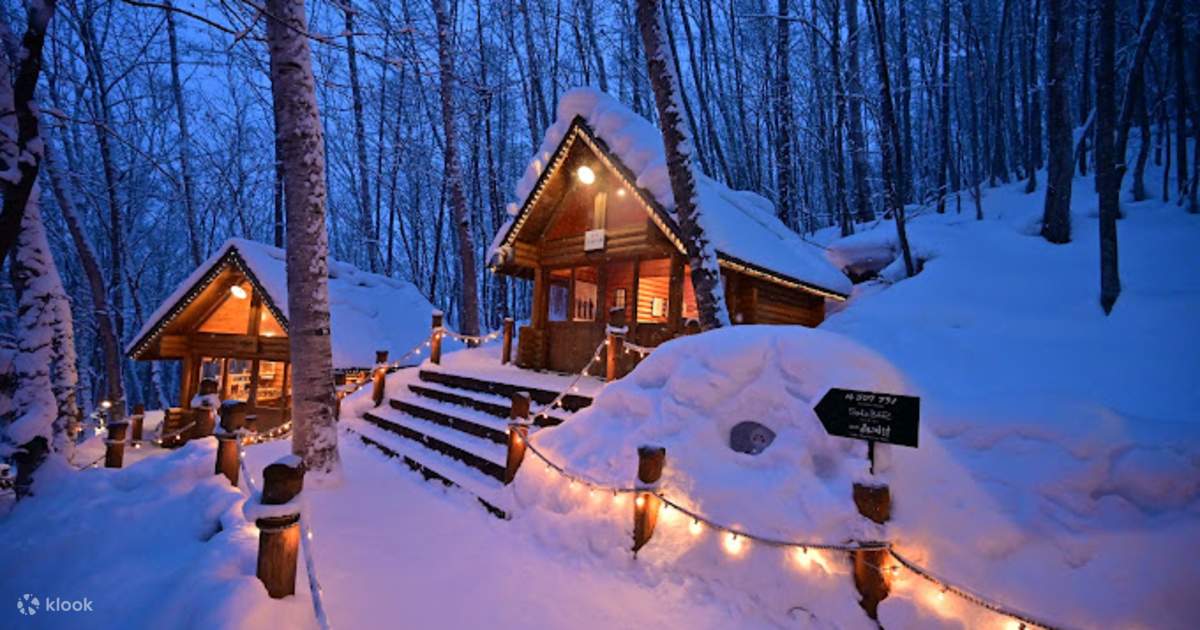 冬季限定北海道スノーランド日帰りツアー四季彩の丘＆森のエルフテラス＆美瑛クリスマスツリー白里の滝付 札幌発- KKday